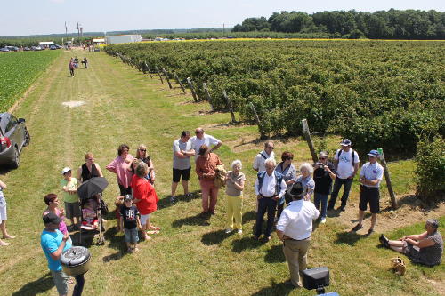 Visite de groupe