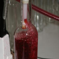 La Mise en Bouteille