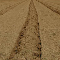 La Plantation