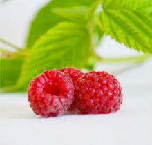 Framboises